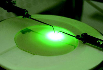 ；；；；；で樾卧鹑